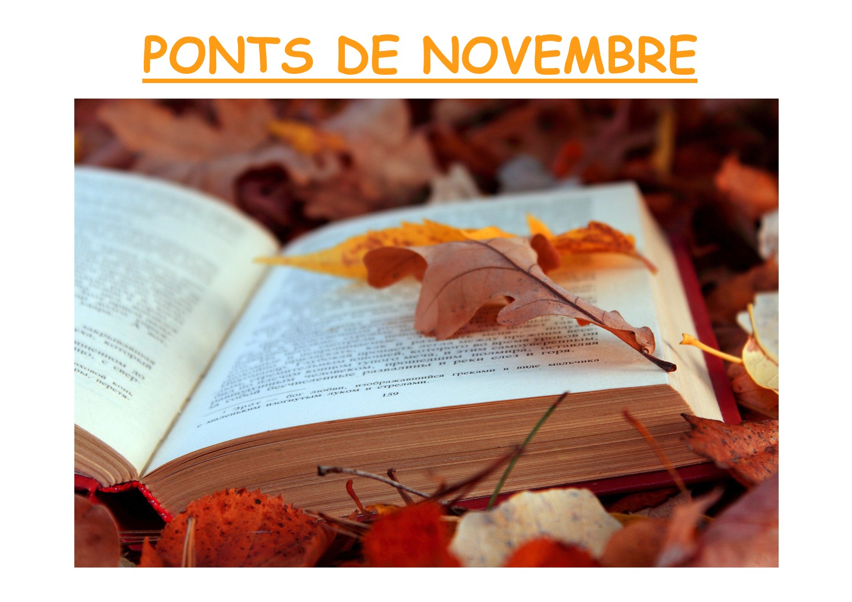 La bibliothèque sera fermée le samedi 2 et le dimanche 3 novembre et du samedi 9 au lundi 11 novembre